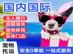 南阳姜营空运国际宠物托运 【国